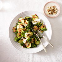Courgette salad with grilled goat's cheese